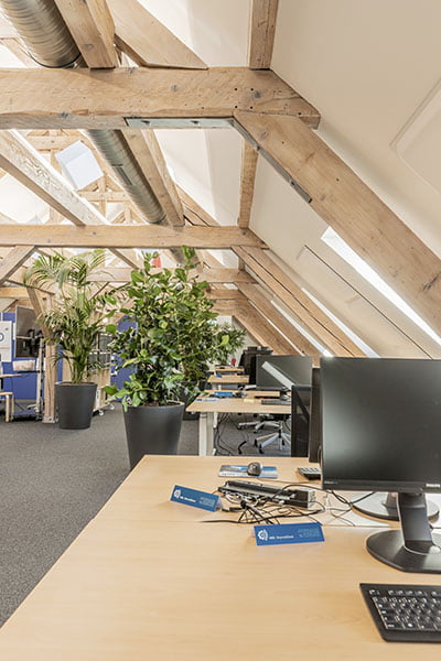 Open Space Büro in einem Dachgeschoss mit Holzbalken, mehrere Pflanzen stehen in den Durchgängen zwischen den Arbeitsplätzen